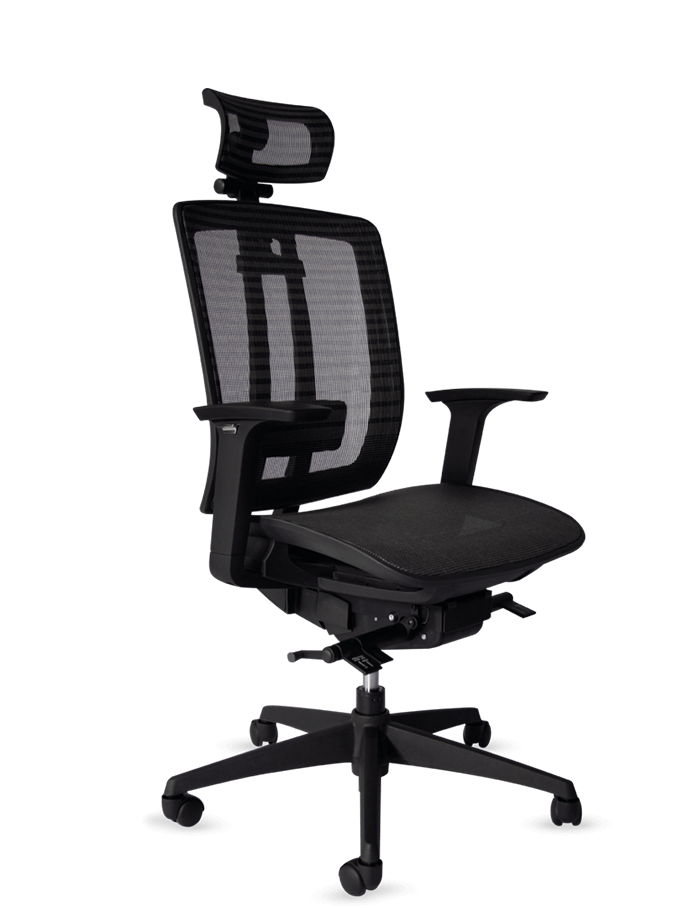 Silla ejecutiva ergonómica de lujo Lynix® | PM STEELE®