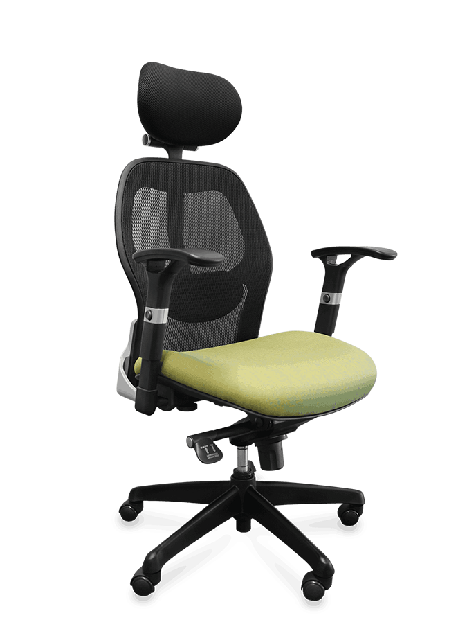 Silla ejecutiva ergonómica de lujo Cyrius®  | PM STEELE®