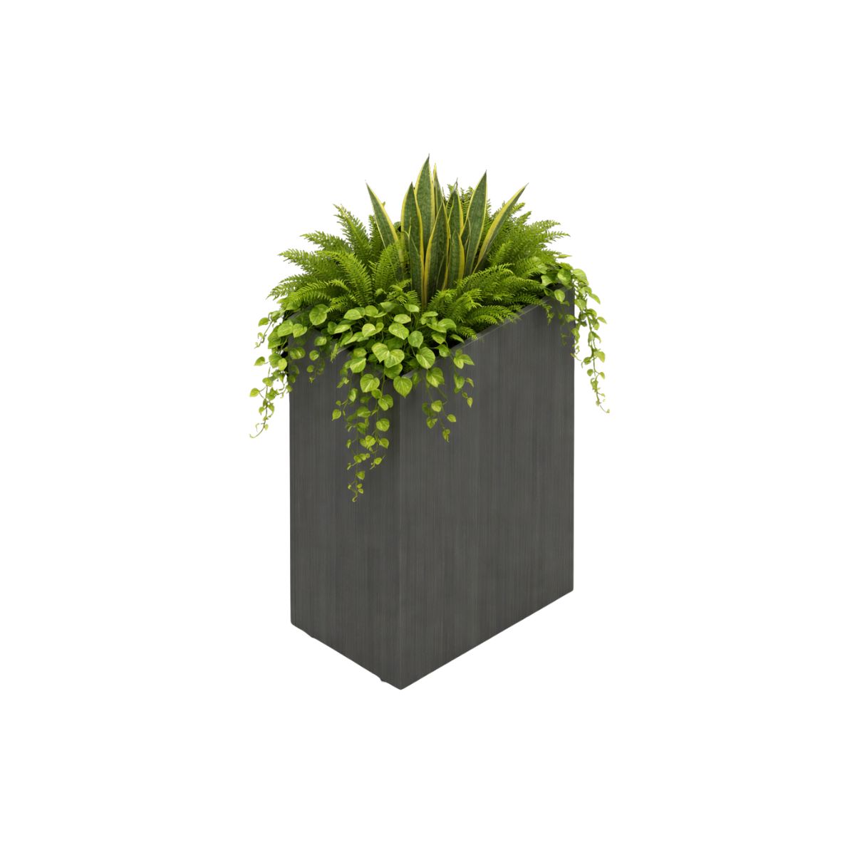 Jardinera División Alta