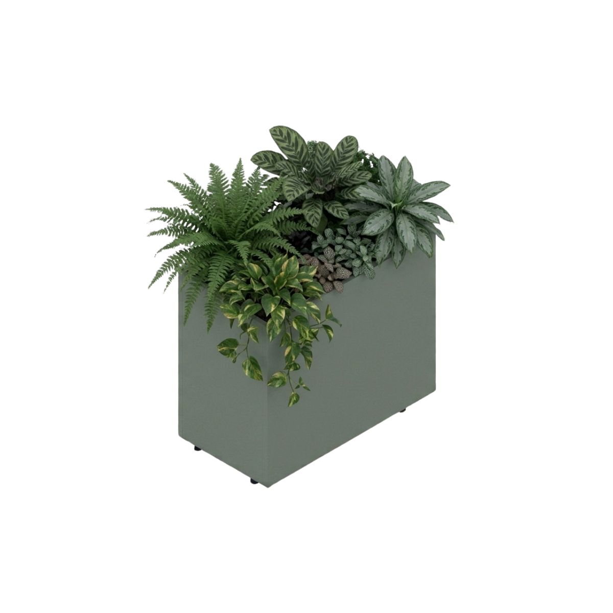 Jardinera División Baja